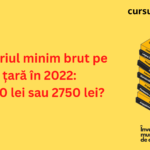salariu minim în 2022